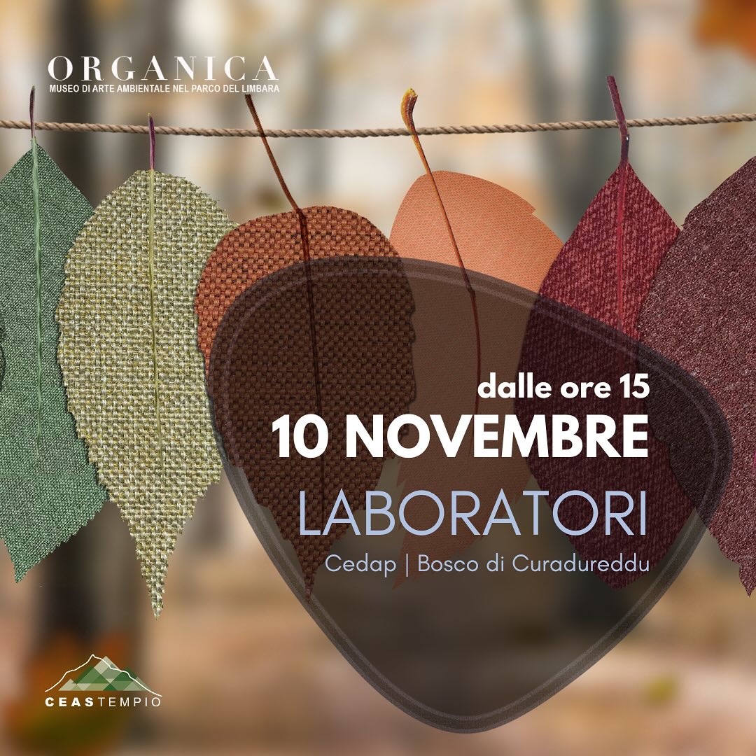 Locandina della giornata di laboratori del 10 novembre, con delle foglie di tessuto appese a un filo.